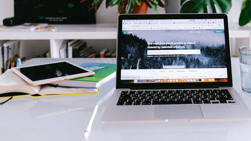 ux-search-design