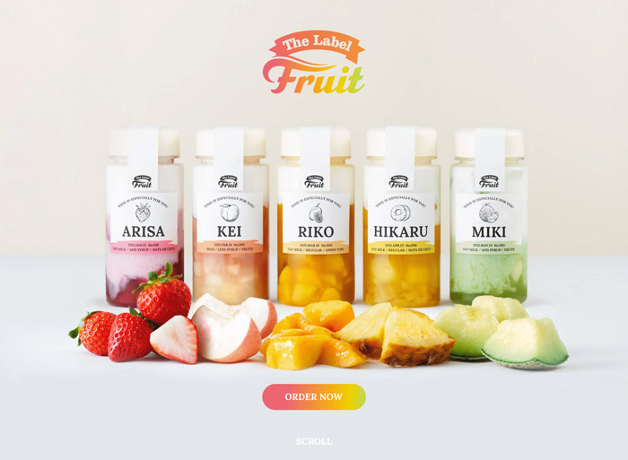 food-web-design-case 