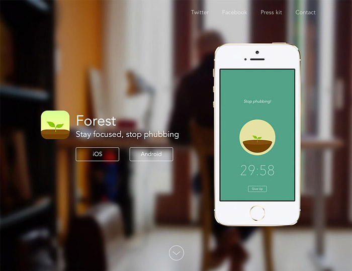 landing-page-design-skills