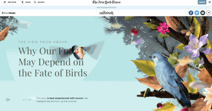 storytelling-web-design
