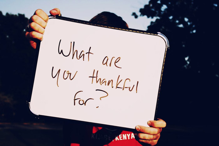 thanksgiving-black-friday-web-development-digital-marketing