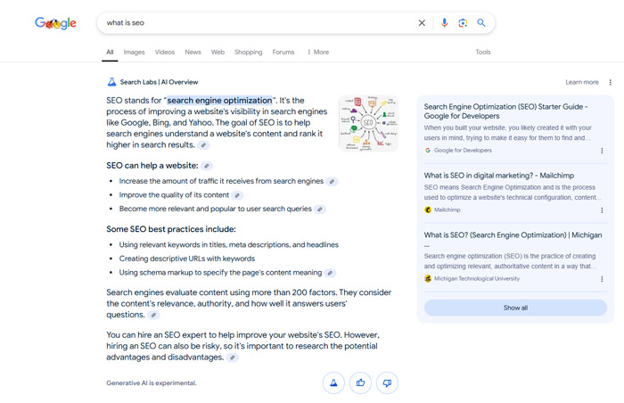 什麼是 AI Overviews (AIO)?